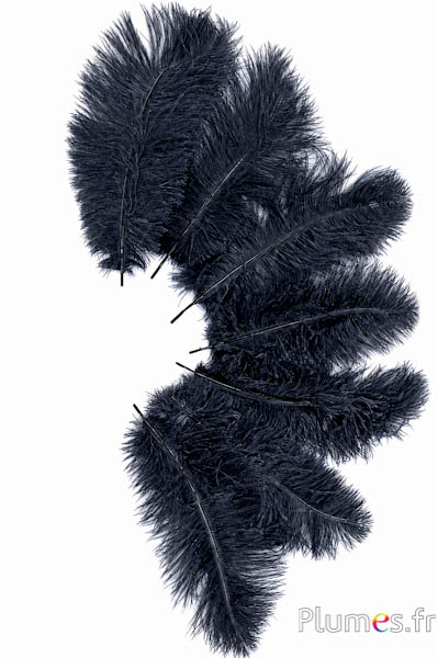 Struzzo - 30-40 cm - antracite